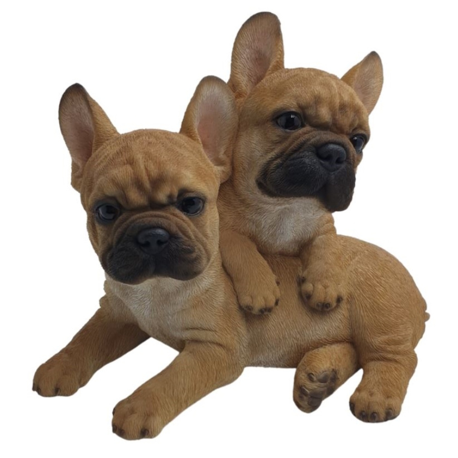 Money Box Bulldog Pups