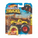Hot Wheels Monster Trucks 1:64 Assorted
