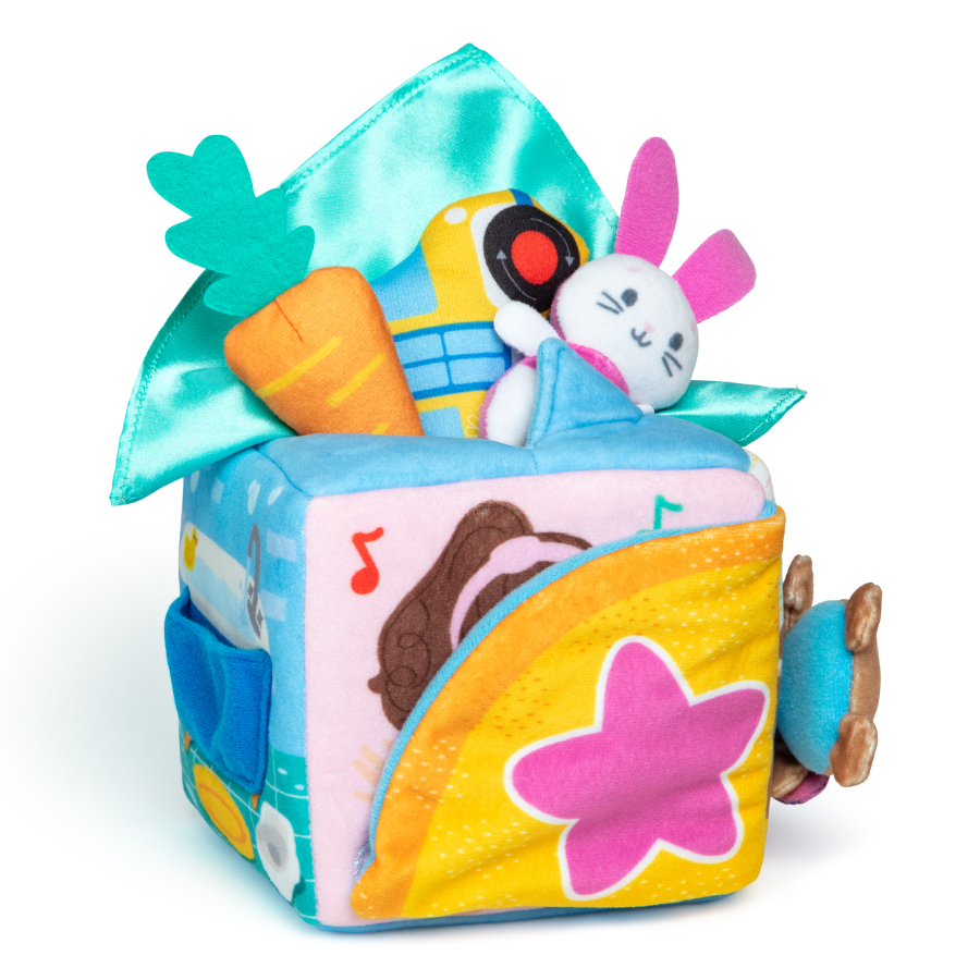 Ms Rachel Suprise Learning Box 