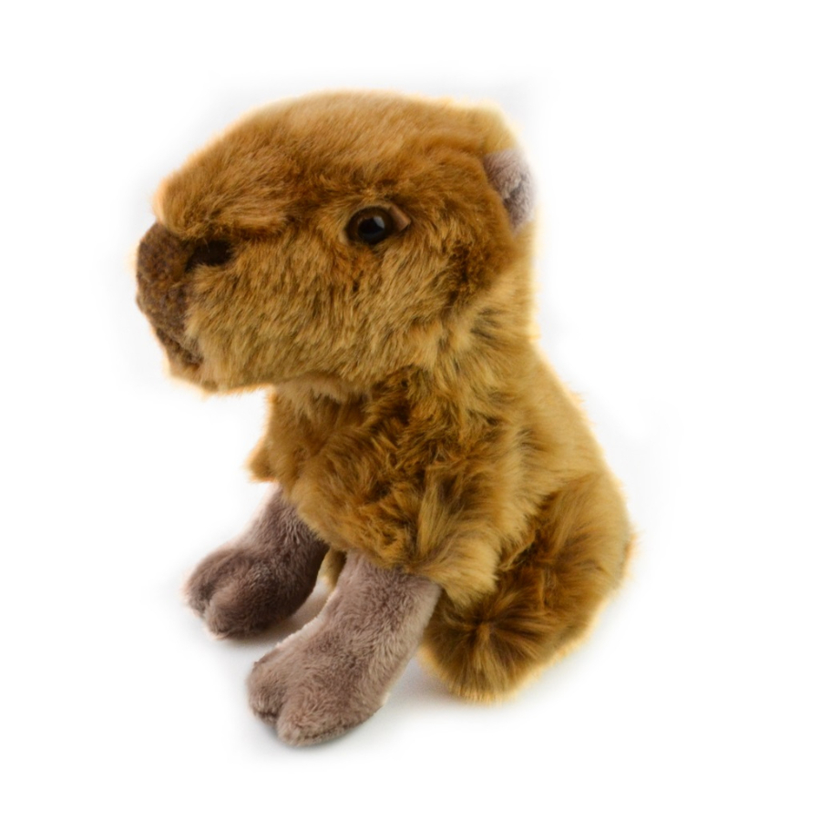 Lil Friends Capybara 18cm