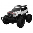 Rusco Racing Radio Control 1:16 Toyota Vehicles With Hi Lo Gears Assorted Batteries Included