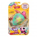 Little Live Pets Lil Turtle Series 11 Single Pack Assorted