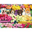 Kodak 1000 Piece Puzzle Assorted