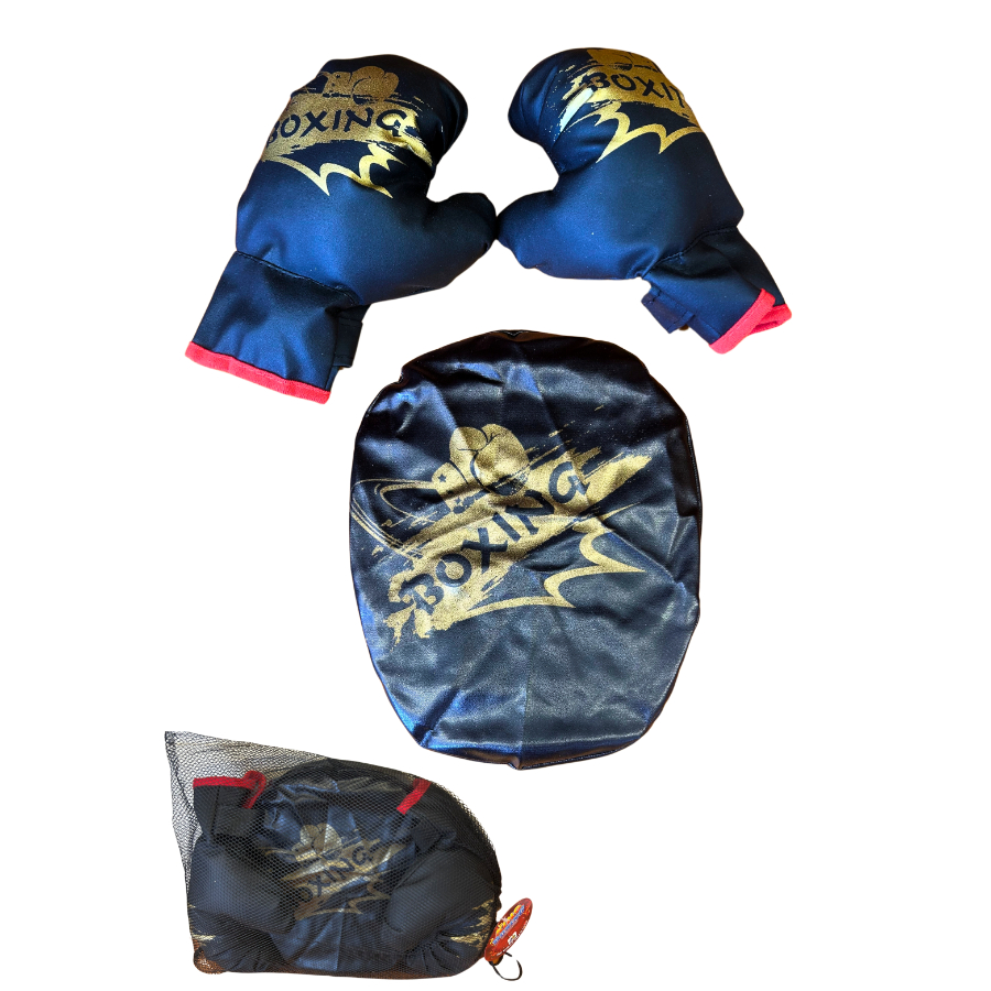 Boxing Gloves With Training Pads In Bag