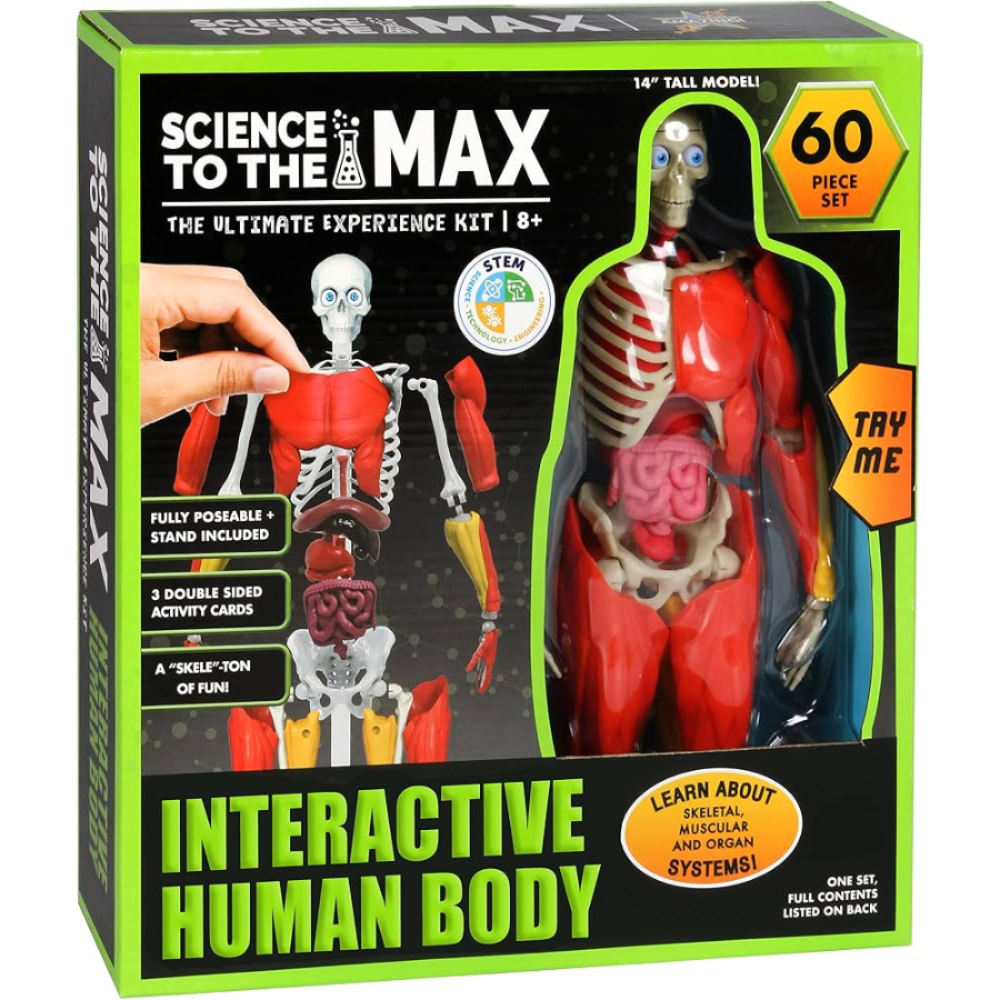 Science To The Max Interactive Human Body 60 Piece Science Kit