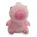 Capybara Plush Assorted