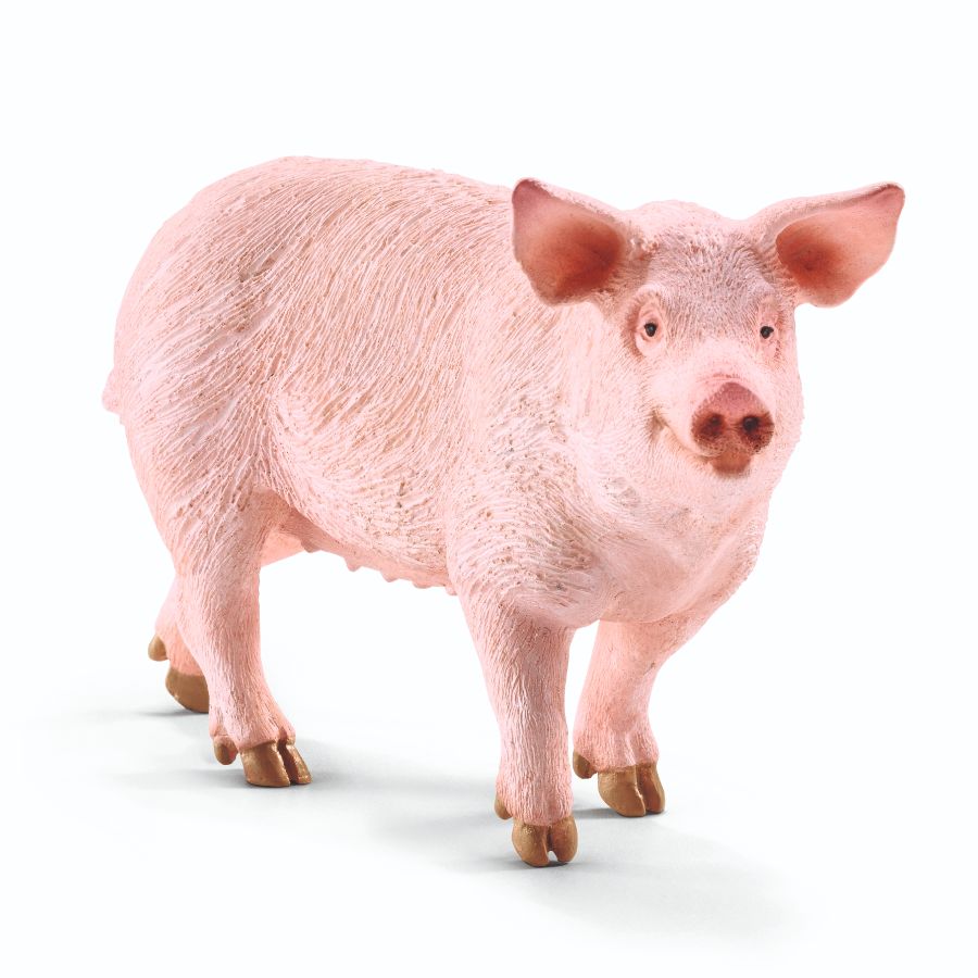 Schleich Pig
