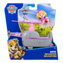 Paw Patrol Classic Vehicle & Figure Assorted