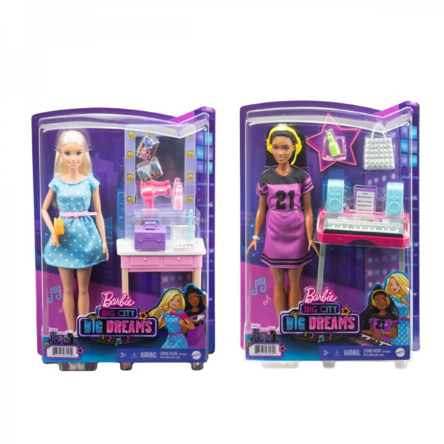 Barbie Big City Big Dreams Doll & Playset Assorted