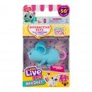 Little Live Pets Lil Needees Single Pack Series 2 Assorted