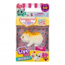 Little Live Pets Lil Needees Single Pack Series 2 Assorted