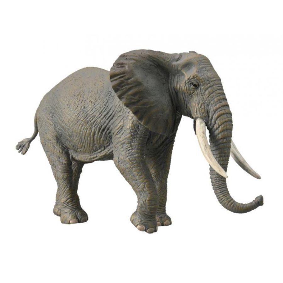 Collecta Extra Large African Elephant | Toy Brands A-K | Casey's Toys