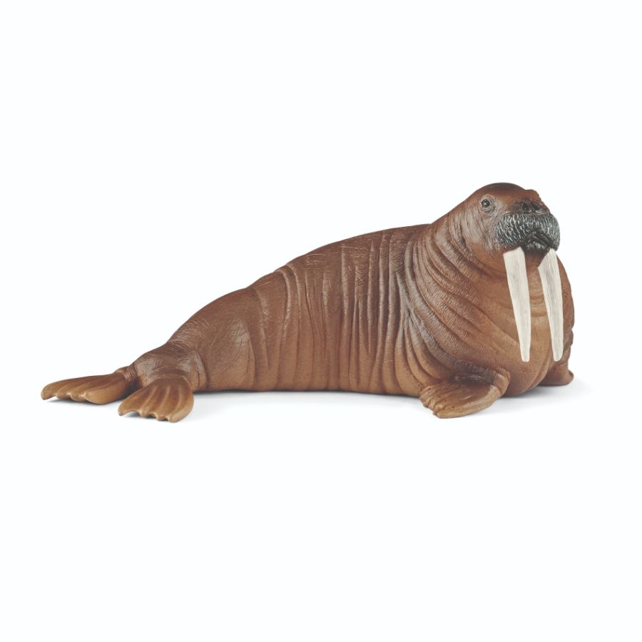 Schleich Walrus