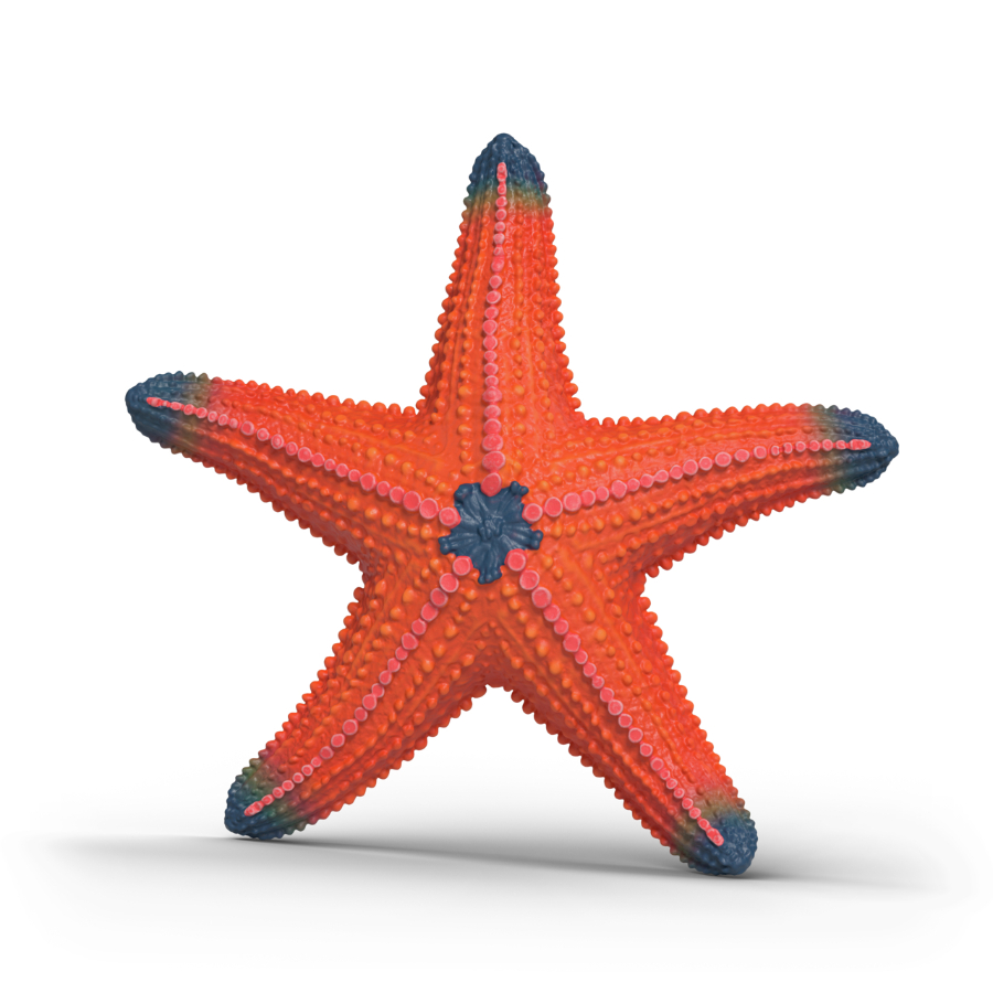 Schleich Starfish Color Change