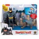 DC League Of Super Pets Hero & Pet Assorted