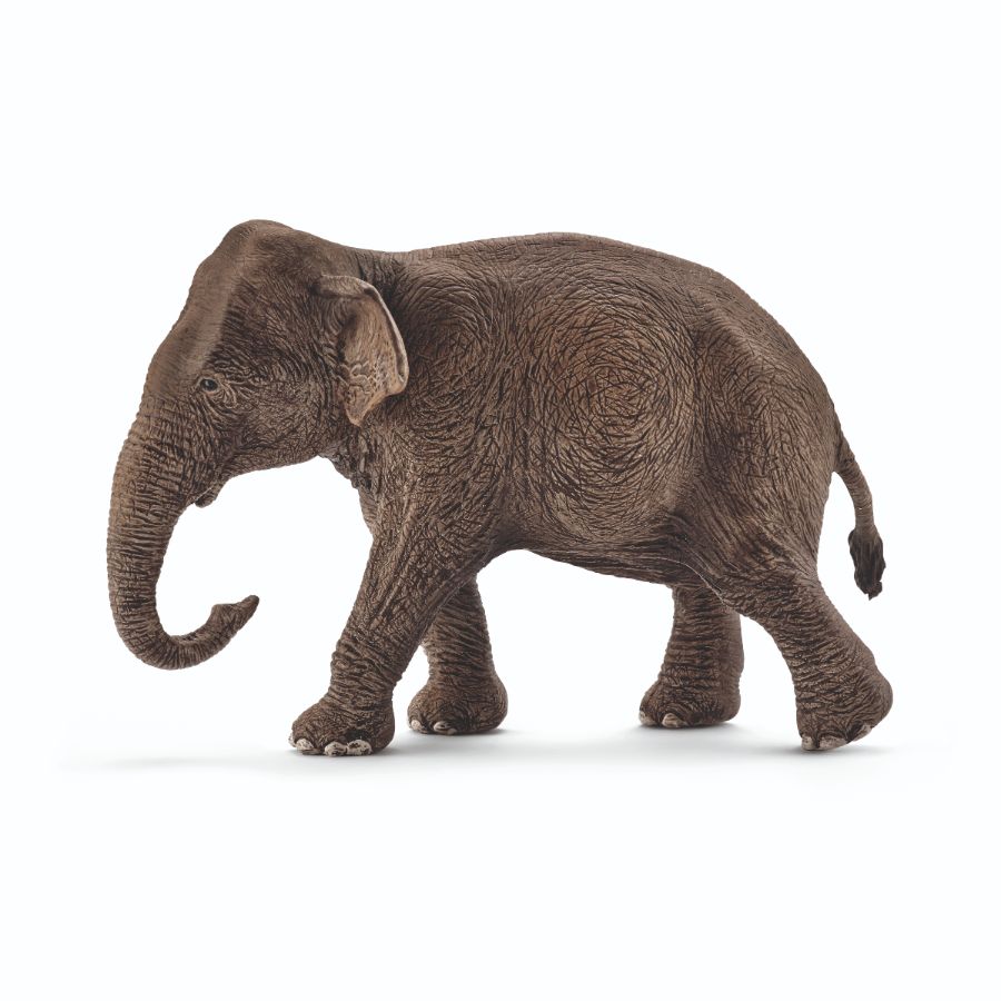 Schleich Asian Elephant Female
