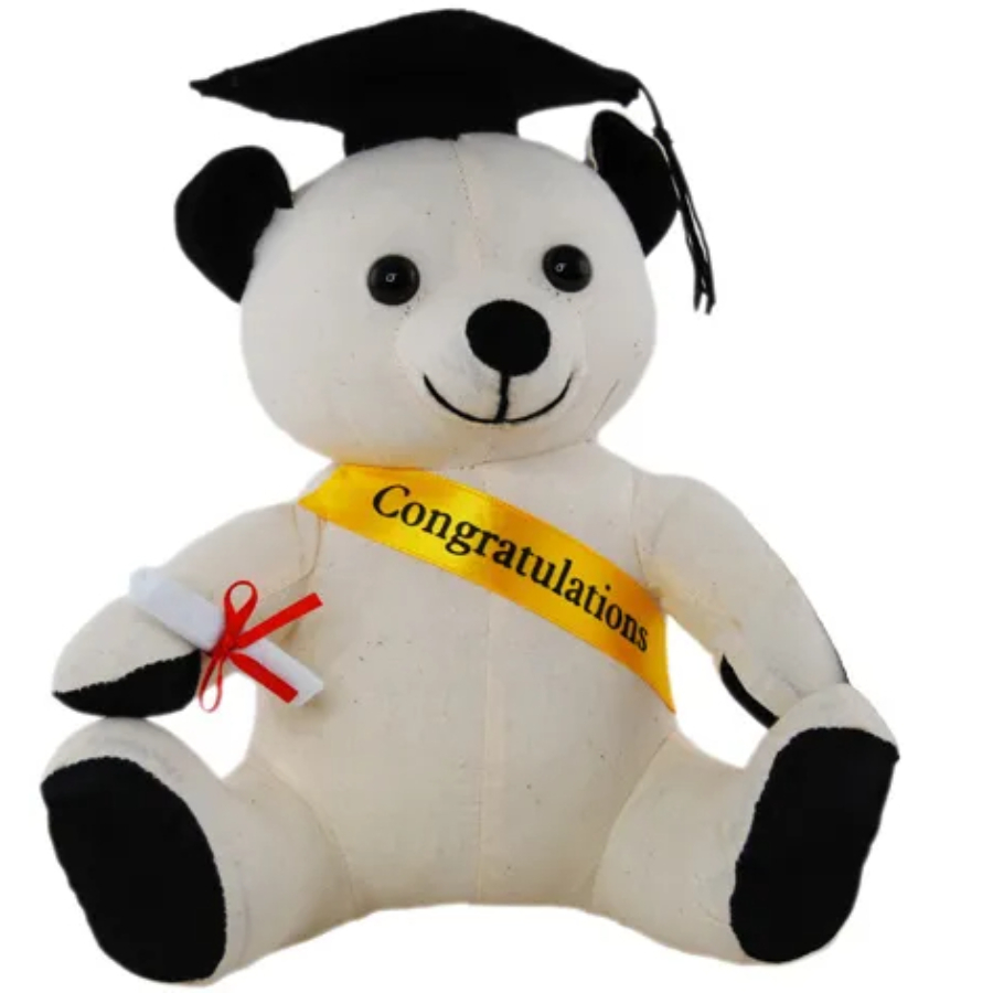Graduation Signature Bear 20cms