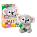 Little Live Pets My Lil Baby Koala