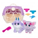 Scruff A Luvs Fantasy Pets Twin Pack