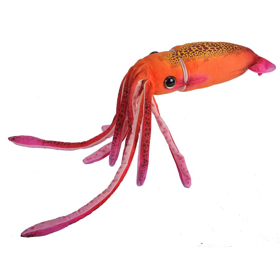 Squid Hanging Orange