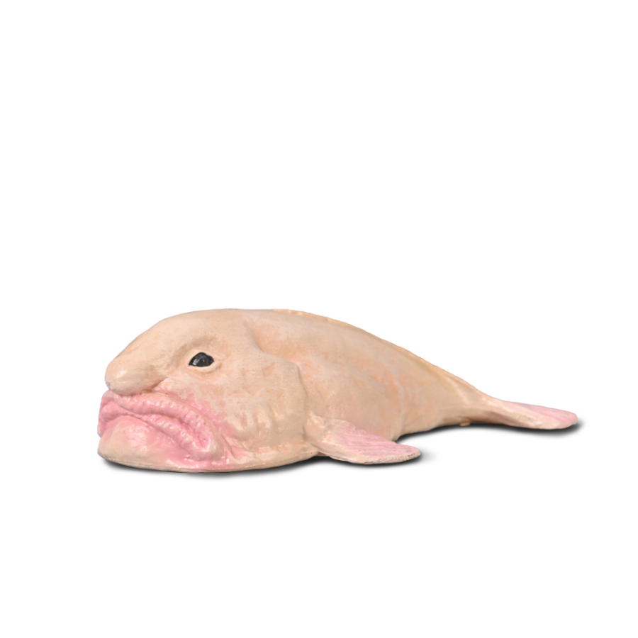 Collecta Small Blobfish