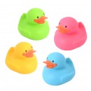 Bath Duckie Assorted Colours