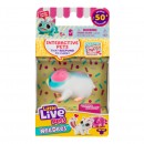 Little Live Pets Lil Needees Single Pack Series 2 Assorted