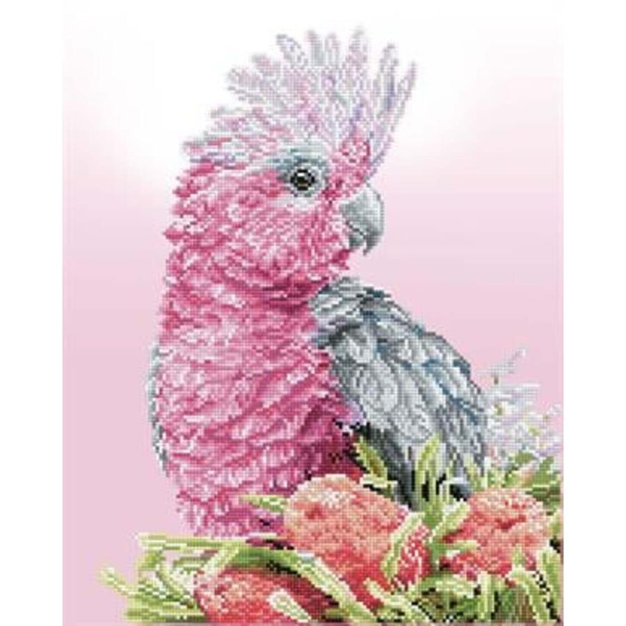 Diamond Dotz Pink Galah & Banksia 51cm X 41cm