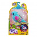 Little Live Pets Lil Bird Series 13 Single Pack Assorted