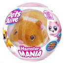 Pets Alive Hamstermania Assorted