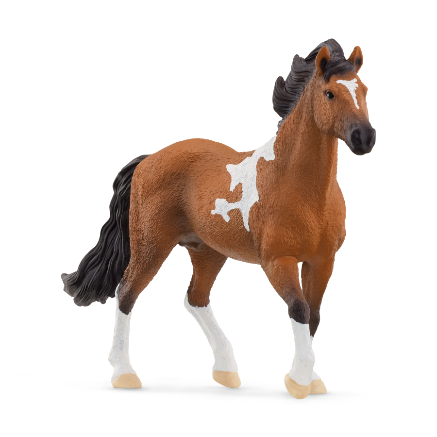 Schleich Horse Mangalarga Marchador Stallion