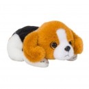 Russ Petooties Mini Plush Dog Assorted