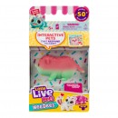 Little Live Pets Lil Needees Single Pack Series 2 Assorted