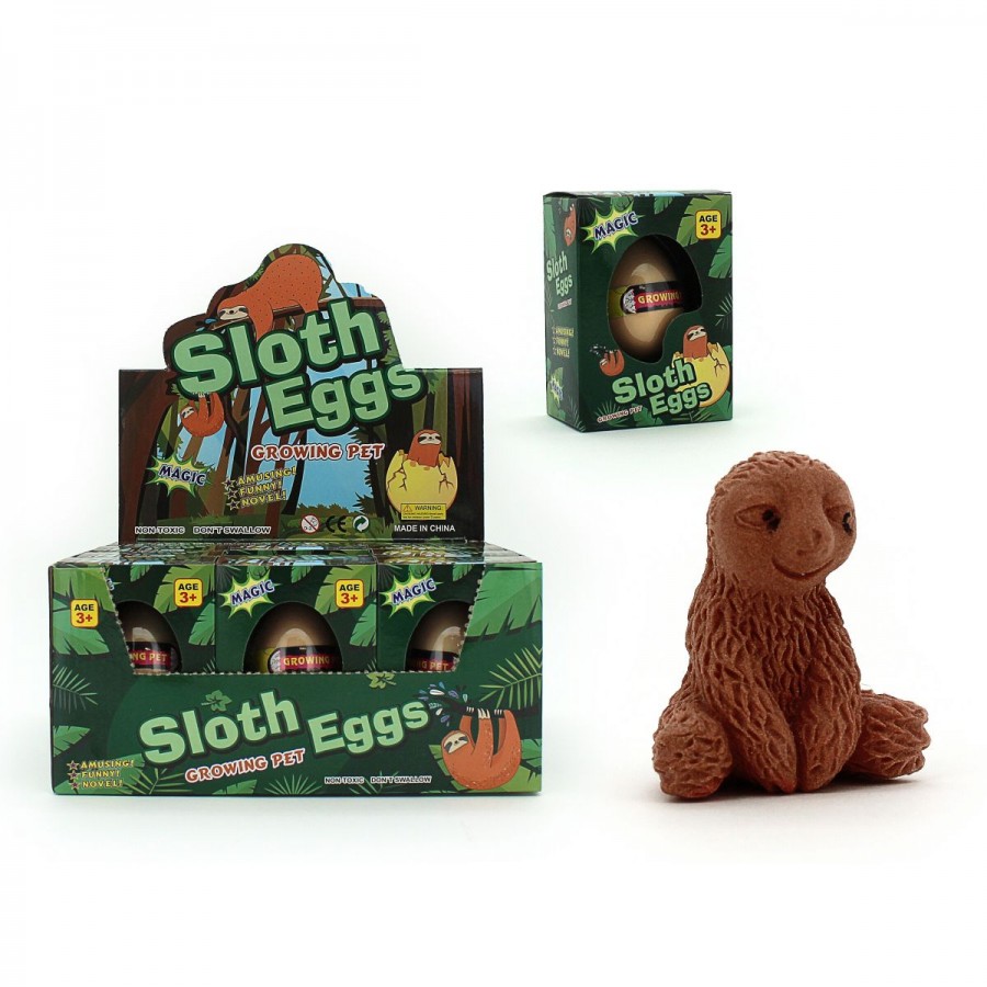 Growing Sloth In Egg
