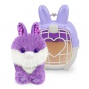 Scruff A Luvs Series 1 Single Pet Bunny