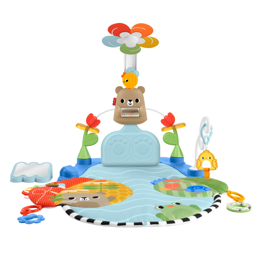 Fisher Price Balanced Beginnings Sense & Sway Activity Gym