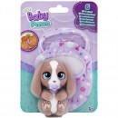 Baby Paws Tiny Collectibles Assorted
