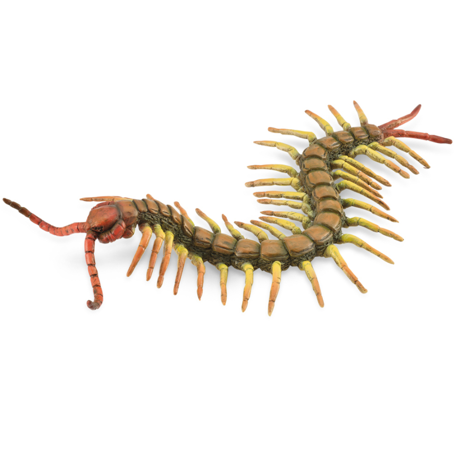 Collecta Large Centipede