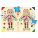 Learning Journey Wooden Lift & Learn Inside of Me Tray Puzzle
