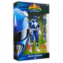 Power Rangers Re-Ignition Collector Figure & Accessories Assorted