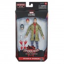 Spider-Man Legends Figure Assorted