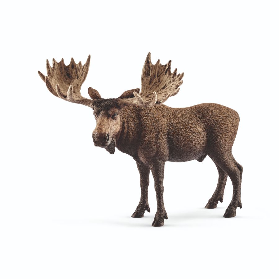 Schleich Bull Moose Bull