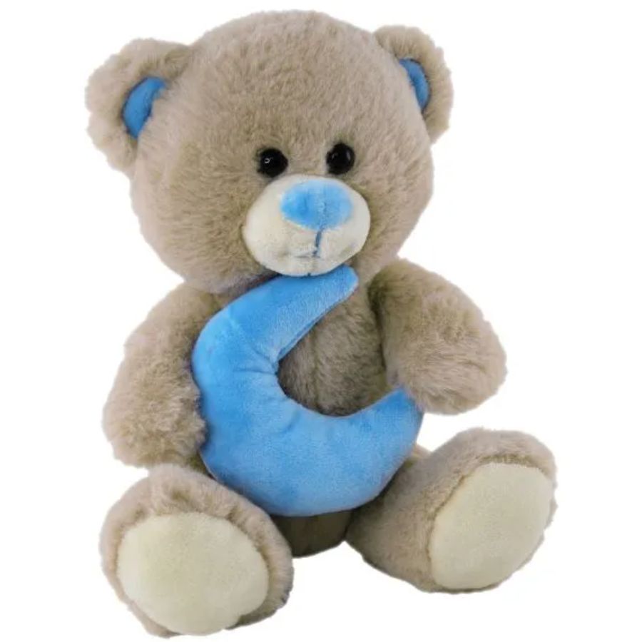 Bear With Blue Moon 21cm