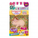 Little Live Pets Lil Needees Single Pack Series 2 Assorted