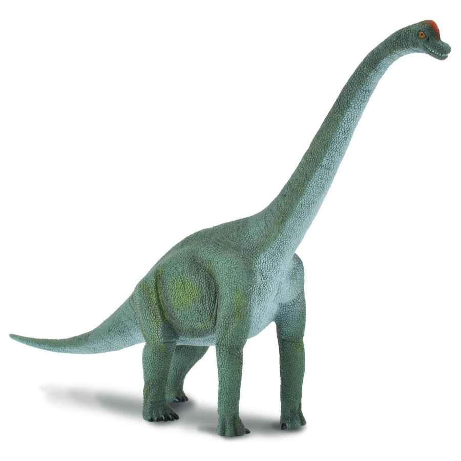 Collecta Large Brachiosaurus