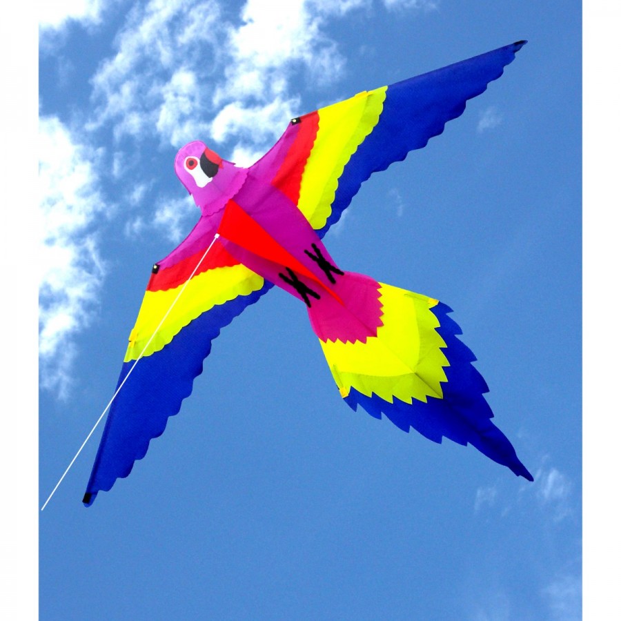 Ocean Breeze Lorikeet Kite