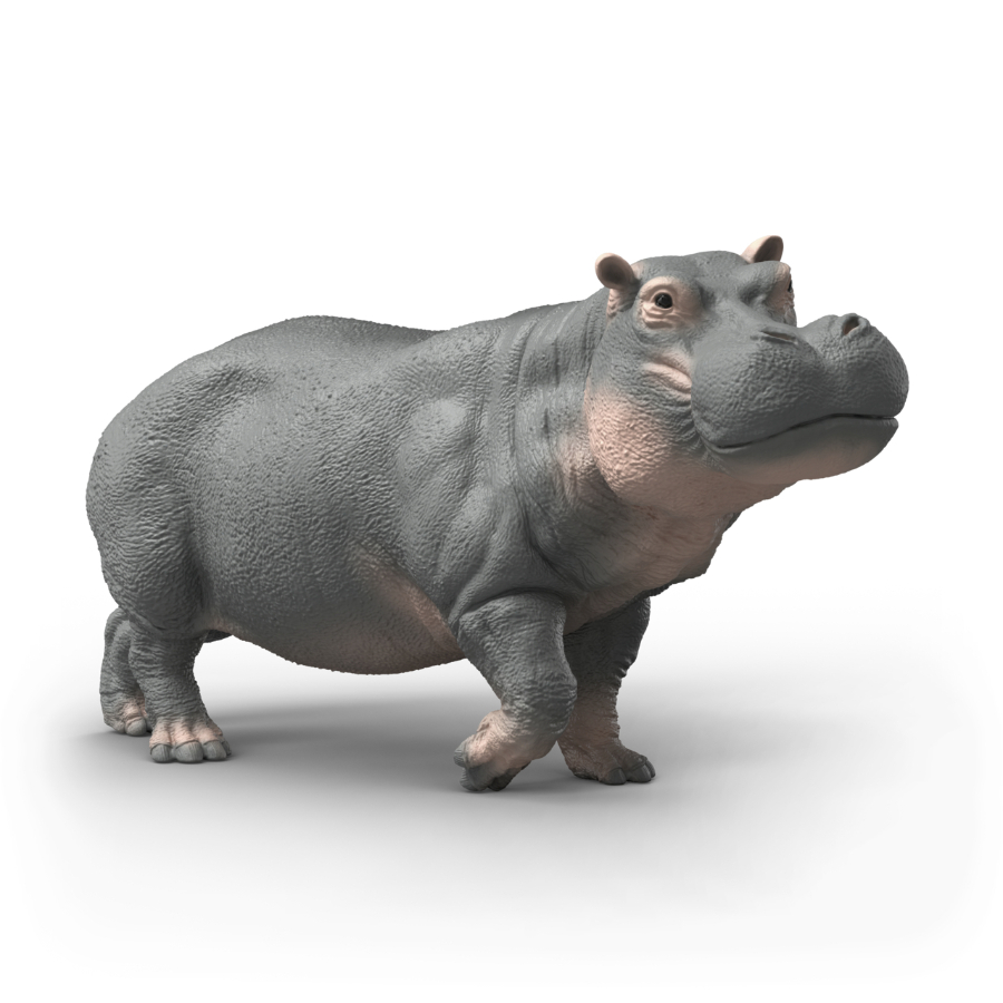 Schleich Hippopotamus Looking Up