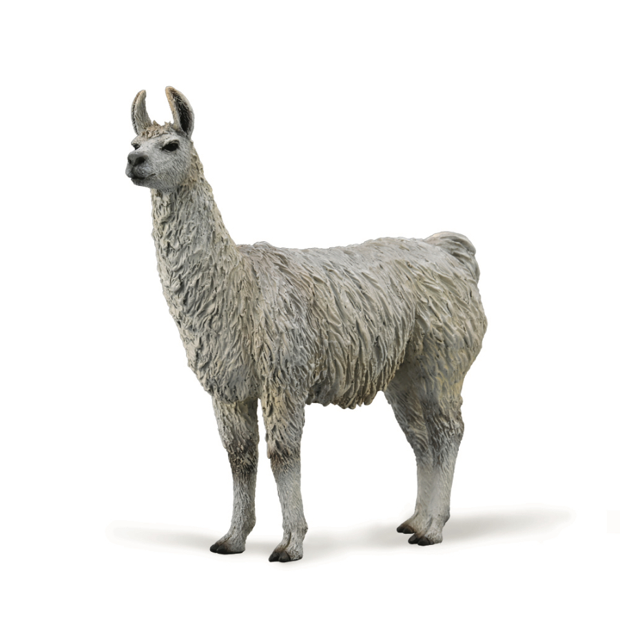 Collecta Medium Llama