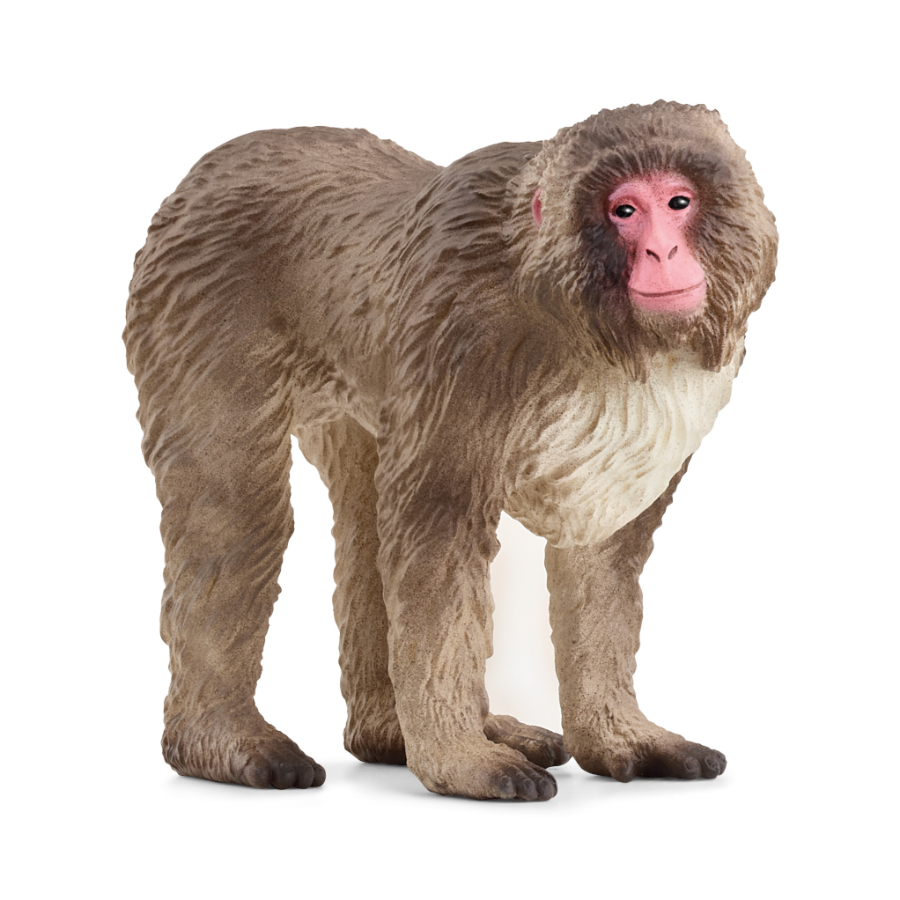 Schleich Japanese Macaque 