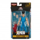 Marvel Legends Classics Assorted